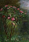 Rose Bush in Flower by Gustave Caillebotte
